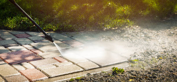 Best Sidewalk and Walkway Cleaning  in Denton, MD